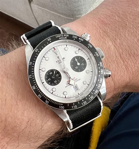 tudor panda chrono.